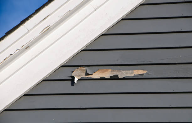 How To Choose The Right Materials for Your Siding Installation in 'Lemmon Valley, NV