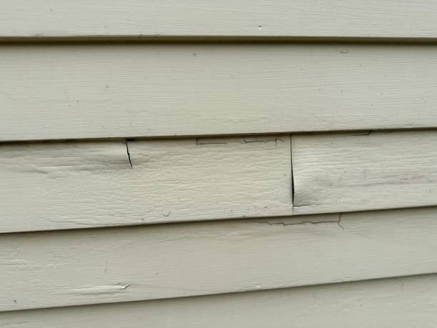 Best Custom Trim and Detailing for Siding  in Lemmon Valley, NV